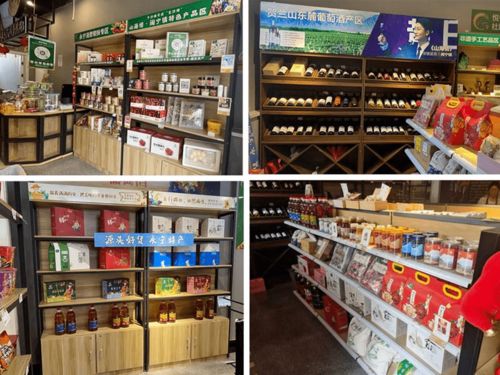 永寧特色農產品O2O體驗館 優質農產品電商與日用家電零售的創新融合